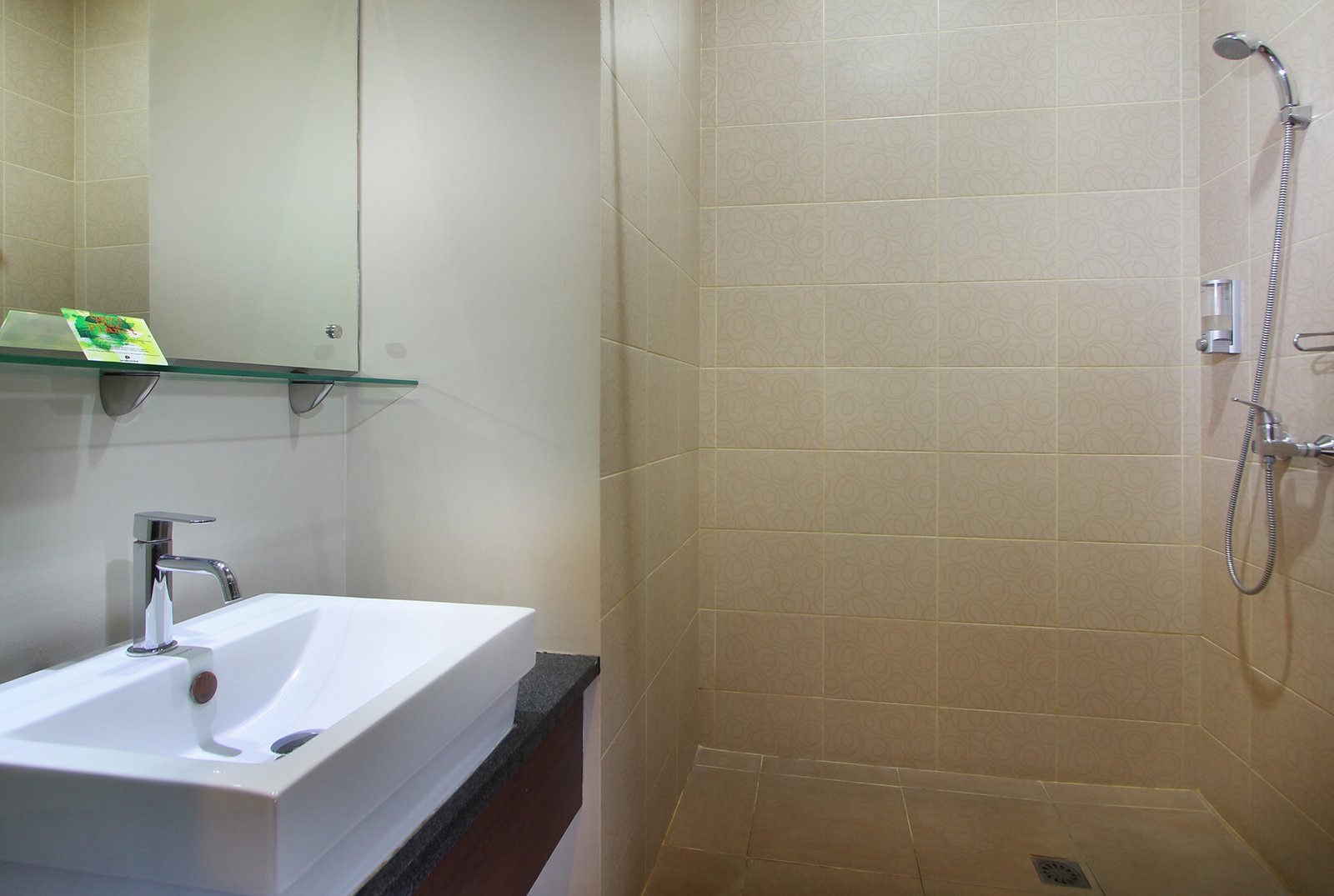 Walk-in shower in the Deluxe Double